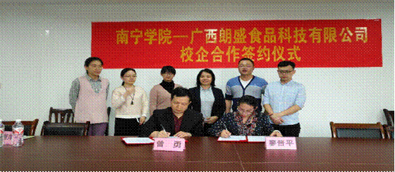 广西朗盛食品科技有限公司